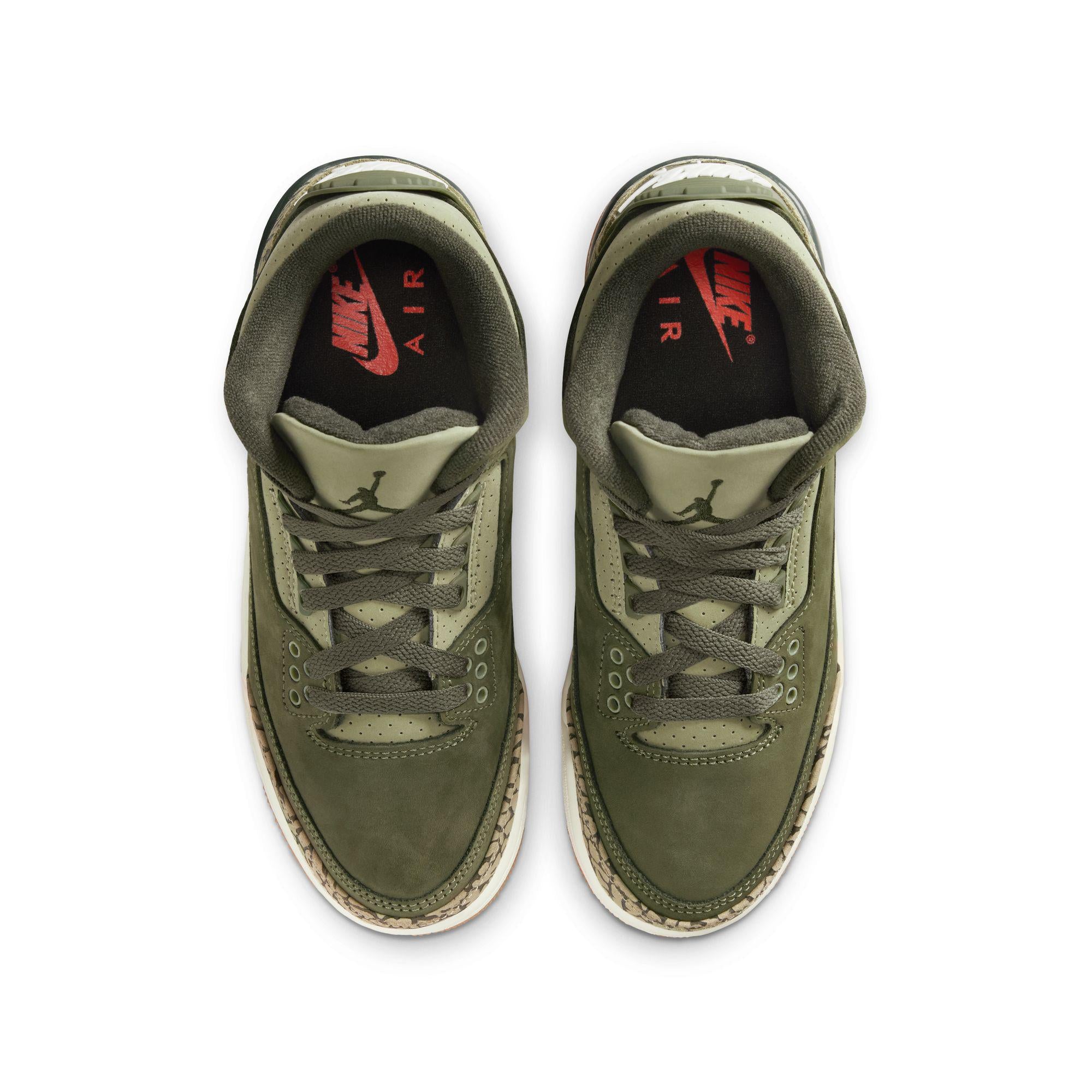 Air Jordan 3 Retro Gradeschool 