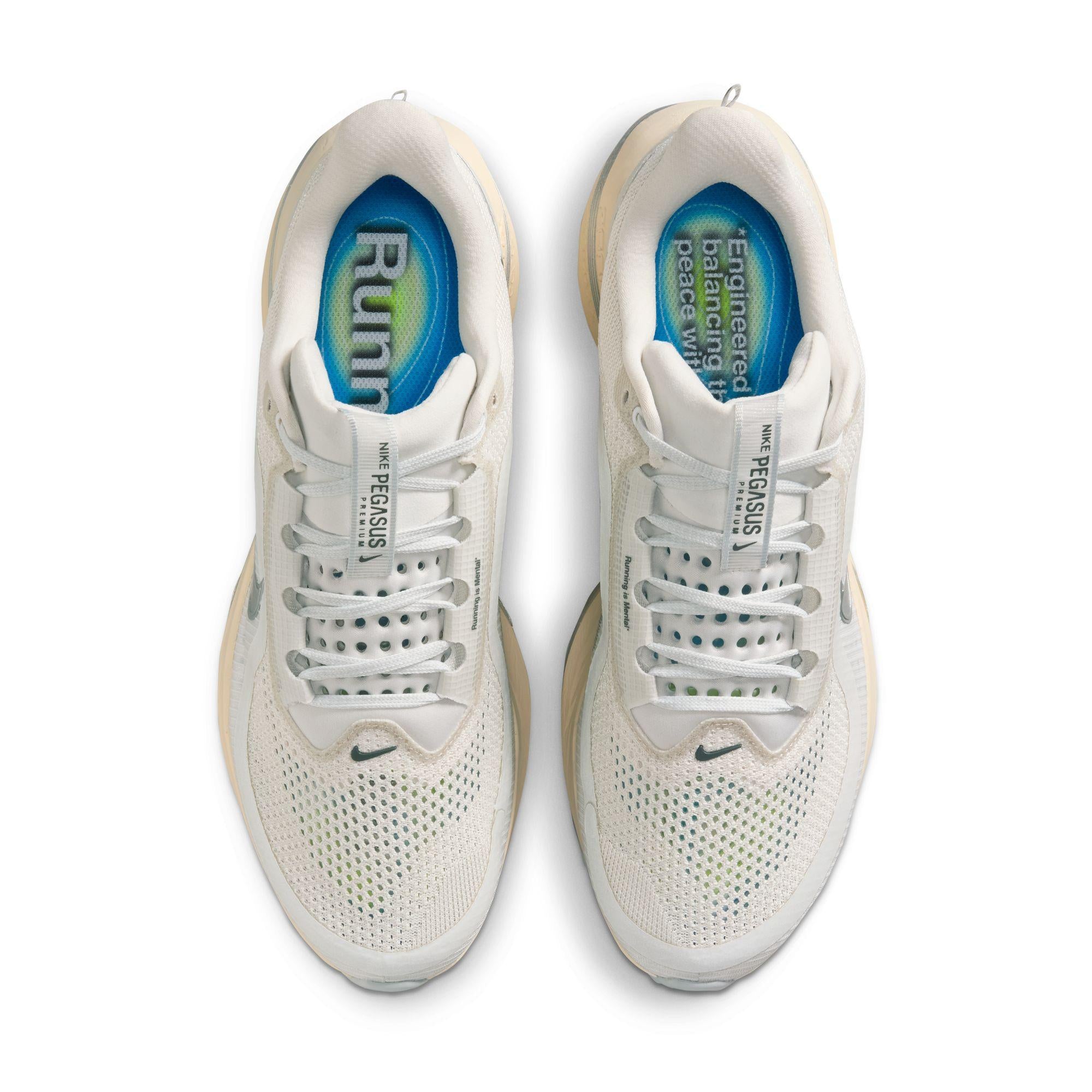 Nike Pegasus Premium “Platinum”