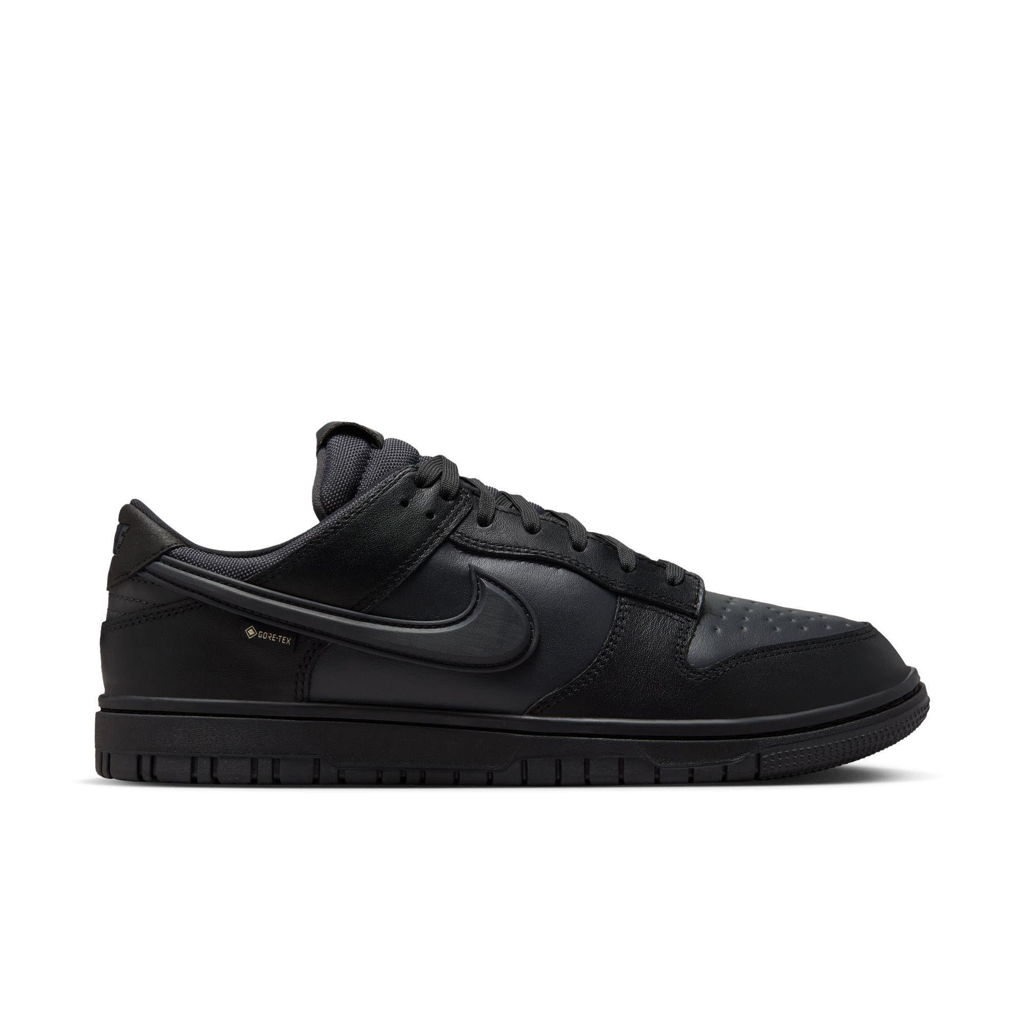 Nike Dunk Low GORE-TEX