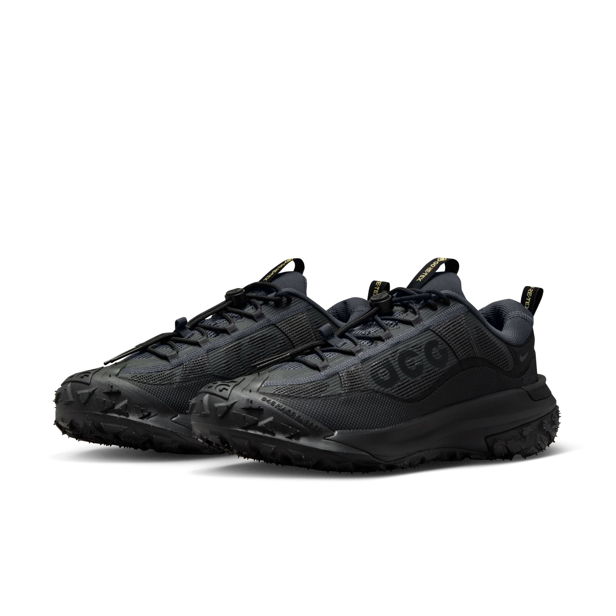 Nike ACG Mountain Fy 2 Low Gortex