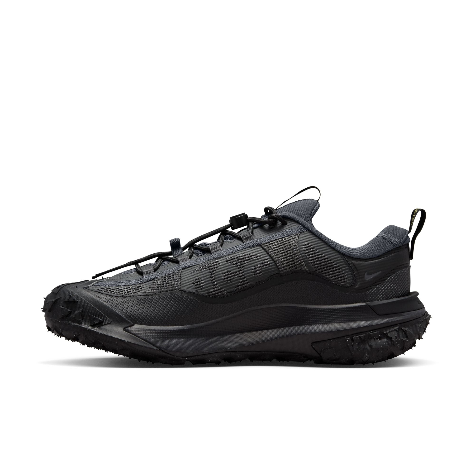 Nike ACG Mountain Fy 2 Low Gortex