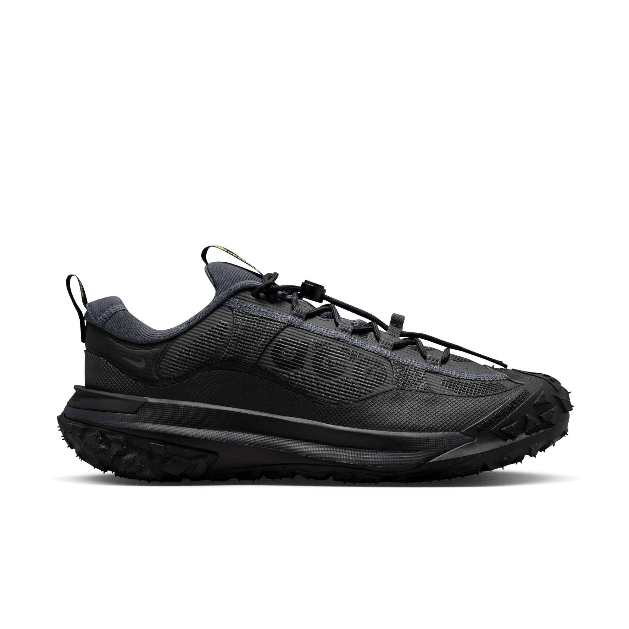 Nike ACG Mountain Fy 2 Low Gortex