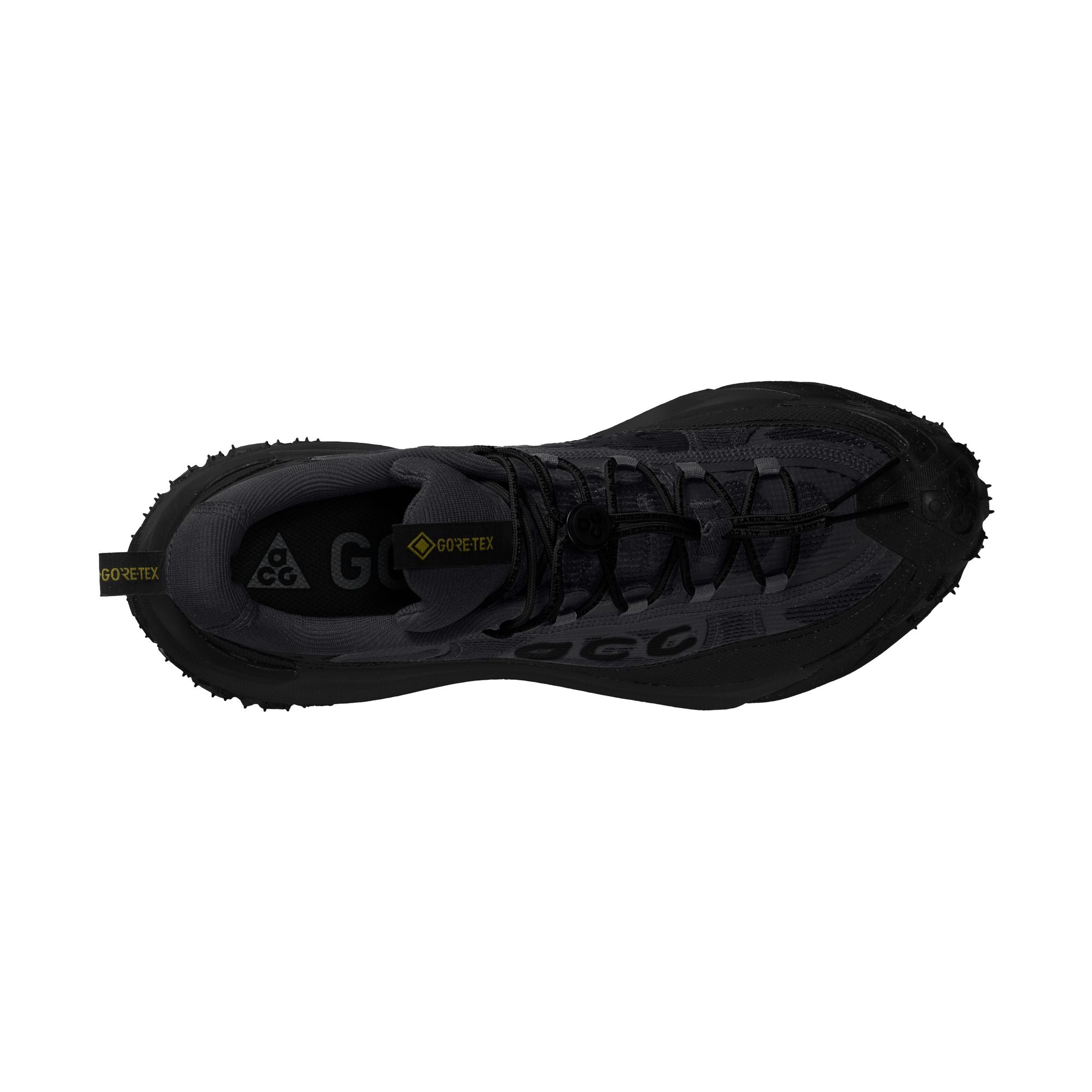 Nike ACG Mountain Fy 2 Low Gortex