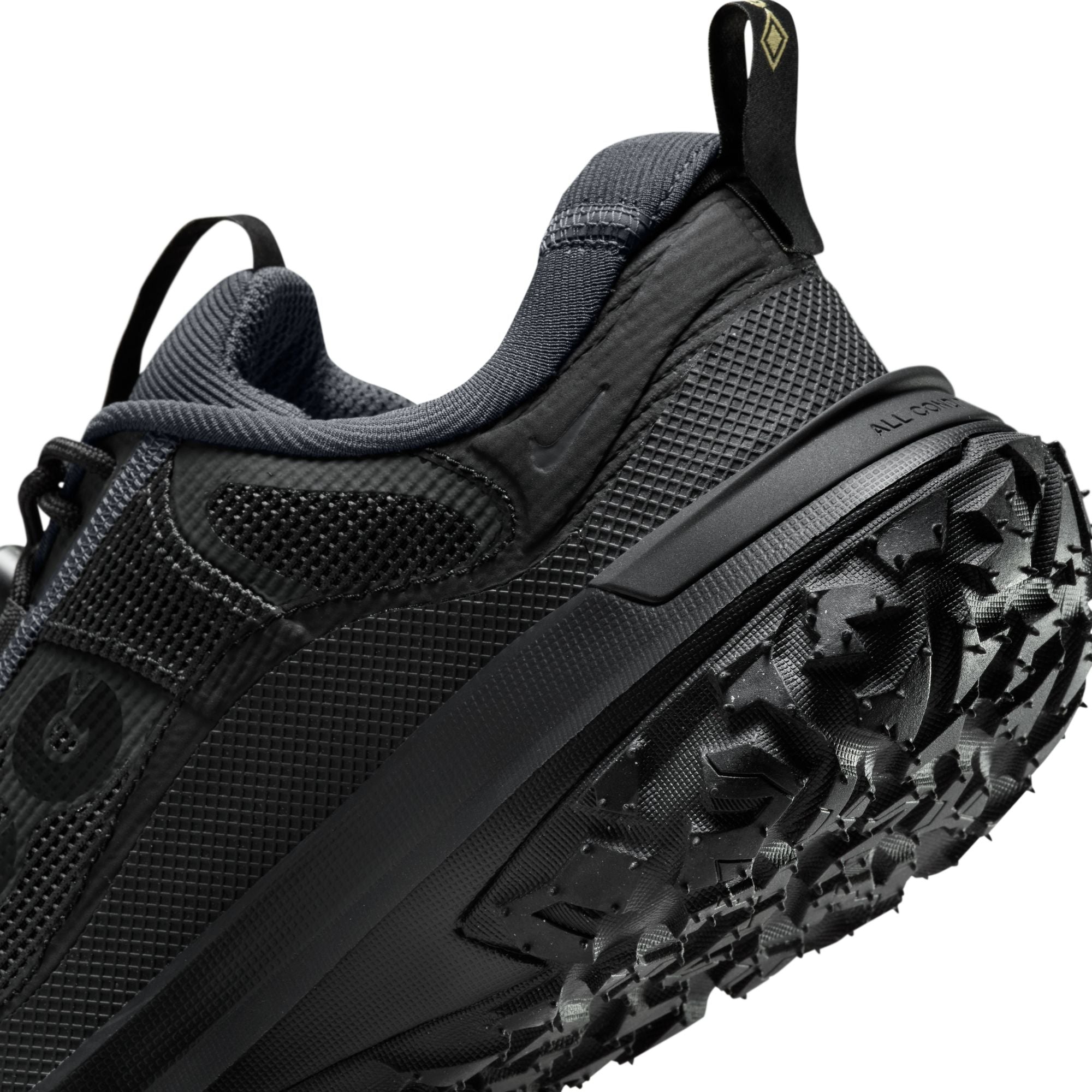 Nike ACG Mountain Fy 2 Low Gortex