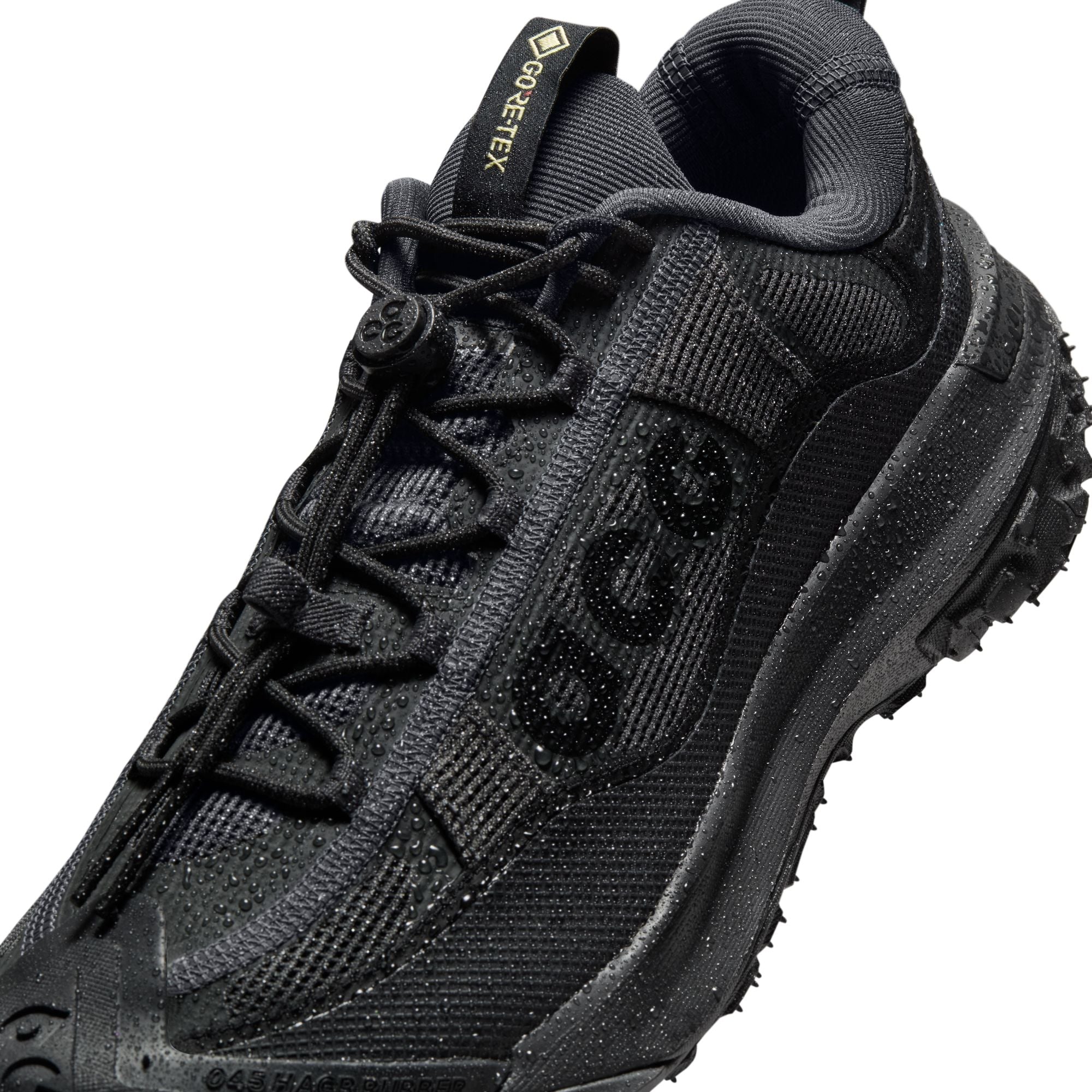 Nike ACG Mountain Fy 2 Low Gortex