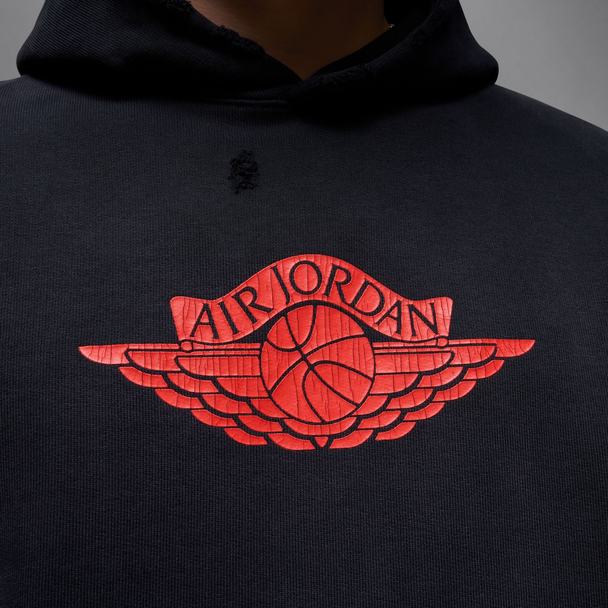 Jordan Rare Air Hoodie